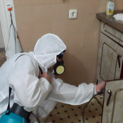 Дезинфекция от муравьев в квартире на Проспекте Вернадского метро Москвы