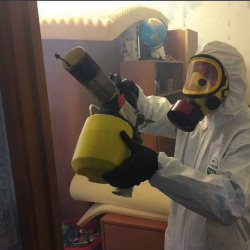 Уничтожение клопов в квартире. Проспект Вернадского 