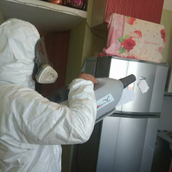 Уничтожение насекомых в квартире. Проспект Вернадского 